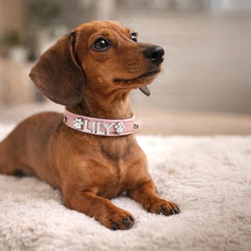 Rhinestone Dog Collar | Light Pink Sparkle | Personalized Dog Collar | Rose Gold Dog Collar | Size XXS- XXL
