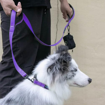 Wagtime Club Double Handle Dog Leash, 6ft Long Heavy Duty Dog Leash with Paded Traffic Handles for Extral Control and Training, Dual Handles Leads, Large Medium Small Dogs (Vibrant Purple) - color: Vibrant Purple