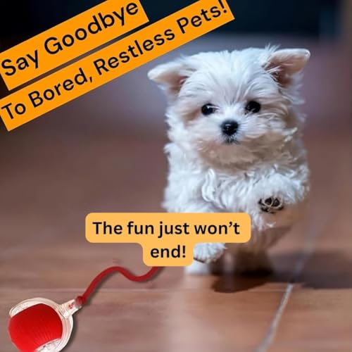 Interactive Electric Automatic Rolling Moving Rechargeable Self Play Stimulation Toy,Smart Pet Chase with Speedy Tail Rope for Bored Indoor Cats (Blue) - color: BLUE