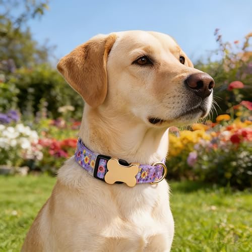 Personalized Custom Customized Silent No Jingle Dog Collar with Engraved ID Dog Name Phone Number/Dog Collars for Puppy X-Small Small Medium Large X-Large Boy Girl Dogs-New Purple Flower-XS - color: 7 New Purple Flower, size: X-Small (0.6" *7.8"-11.8")
