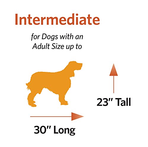 MidWest Homes for Pets Ultima Pro Heavy-Duty 36-Inch Dog Crate, Ultra-Strong Steel Double Door Pet Cage for Medium to Large Breeds, Accessories Included - size: 37.0"L x 24.5"W x 27.5"H