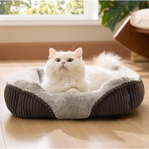Bedsure Washable Dog Bed Small Dog＆Cat- Rectangle Fluffy Plush Kitten Puppy Bed, Comfy Corduroy Fleece and Nonskid Bottom,20x19x6inches,Suitable for Pet Up to 15lbs,Brown - color: Brown, size: 20"L x 19"W x 6"Th
