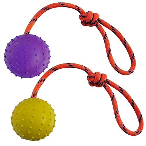 2 Pcs Dog Toy Ball with Rope Handle，Dog Training Ball on Rope Toy ，Hollow Rubber Ball for Fetch, Catch, Throw and Tug of War，Not Suitable for Strong Chewing Power Dog (Purple+Yellow, L) - color: Purple+Yellow, size: L