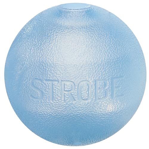 Outward Hound by Planet Dog Strobe Light Up LED Ball Dog Toy, Blue - color: Blue Strobe Toy