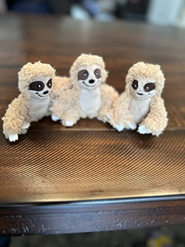 Glow Pups Hide and Seek Dog Toy, Interactive Burrow Dog Toy with Squeaker, Plush Sloth in Tree Trunk, Promotes Mental Stimulation, Easy to Clean, Small 8 x 5.5 inches, Brown (Small Sloth Tree) - size: Small