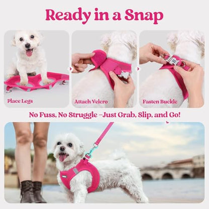 rabbitgoo Dog Harness Small Sized and Leash Set, Step in Soft Light Puppy Vest, Breathable Mesh Pet Harness, Reflective for Safe Easy Walking, Rose Red S - color: Rose Red, size: S (chest: 15.1 - 16.5")