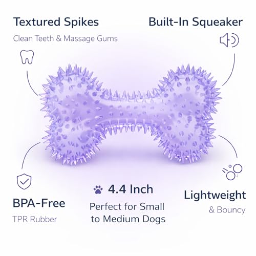 Squeaky Spiky Dog Bone Toy for Teeth Cleaning & Gum Massage 4.4 Inch Small Medium Dogs Purple | Spiny TPR Rubber Chew Toy for Fetch Play Interactive Bouncy Dental Bone Durable BPA Free Nontoxic Floats - size: Purple, Bone 1-Pack