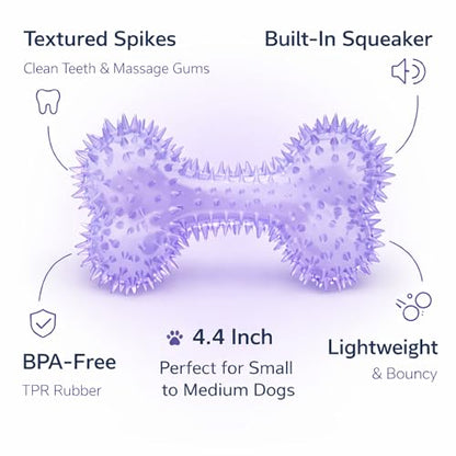 Squeaky Spiky Dog Bone Toy for Teeth Cleaning & Gum Massage 4.4 Inch Small Medium Dogs Purple | Spiny TPR Rubber Chew Toy for Fetch Play Interactive Bouncy Dental Bone Durable BPA Free Nontoxic Floats - size: Purple, Bone 1-Pack