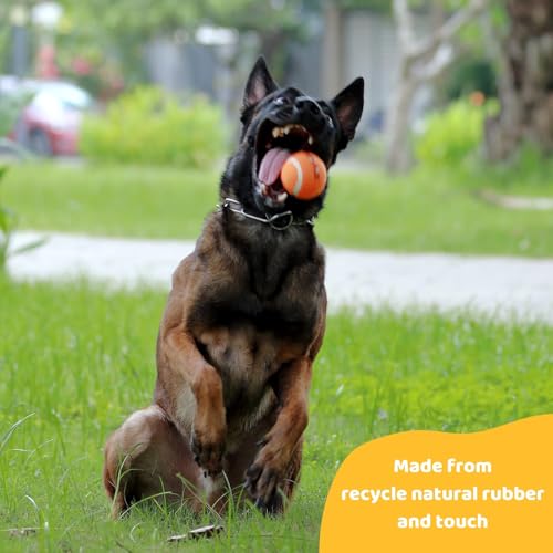 Pup's Pick Squeaky Tennis Balls - 2.5" Fun Dog Balls for Fetch, 12-Pack in Bright Colors (Yellow, Blue, Pink, Orange), Includes 1 Reusable Carry Bag