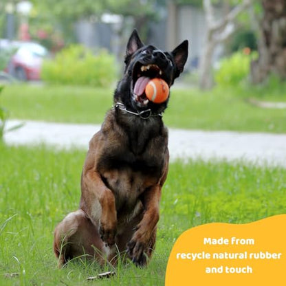 Pup's Pick Squeaky Tennis Balls - 2.5" Fun Dog Balls for Fetch, 12-Pack in Bright Colors (Yellow, Blue, Pink, Orange), Includes 1 Reusable Carry Bag