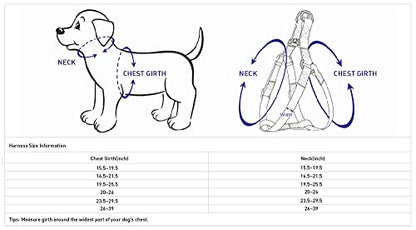 Blueberry Pet Soft & Comfy 3M Reflective Step-in Pastel Color Padded Dog Harness, Chest Girth 26" - 39", Orange Peel, Large, Adjustable Harnesses for Dogs