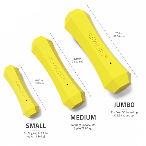 Playology Dog Toys | Squeaky Chew Stick for Dogs | Chicken Scented Medium Fetch Toy | Squeaky Dog Chew Toy - size: Medium, style: Chicken