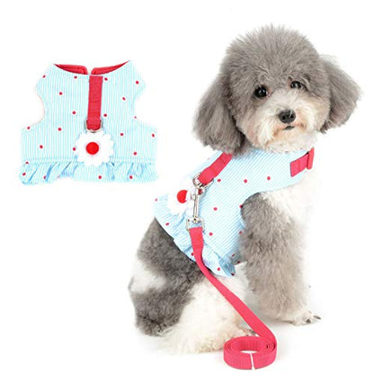 Zunea No Pull Small Dog Girl Harness Dress Escape Proof Cat Kitten Vest Harness Leash Set Step-in Soft Cotton Padded Striped and Flowers Printed Jacket Chihuahua Puppy Clothes for Walking Blue XS - color: blue daisy, size: XS (Chest:12.2-13.7", Neck:8.2-9