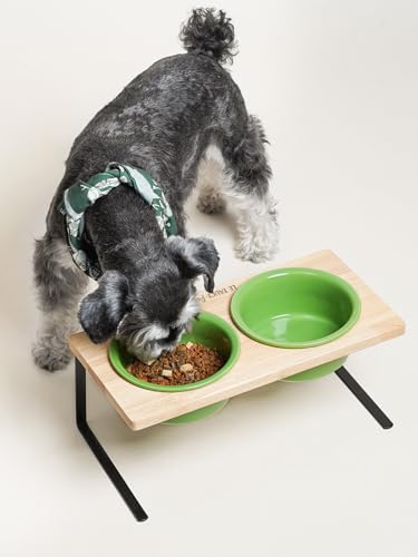 Elevated Dog Bowls, Raised Dog Bowl Stand with Two 6.5 inch Ceramic Bowl, Non-Slip Puppy Food and Water Bowls, Dogs Feeder for Small and Medium Breed,Green - color: Green, size: 6.5inch