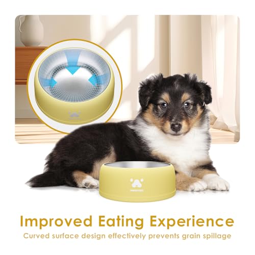 PAWGETHER® Stainless Steel Dog Bowls, Dog Food and Water Bowl Non-Slip Easy to Clean Dishwasher Safe for Puppy Small Medium Dogs Cats Yellow 34oz - color: Yellow (34oz)