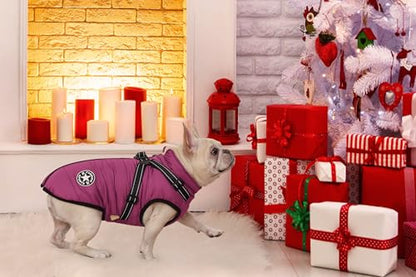 Dog Jackets for Winter Windproof Waterproof 2 in 1 Outfit Cold Weather Coat Dog Vest Harness Puppy Winter Warm Jacket Purple S - color: Violet, size: Small