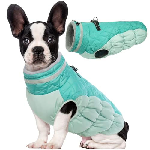 Lelepet Dog Coat Warm Dog Winter Coat Waterproof Dogs Jacket with Harness Built in Reflective Pet Fleece Vest Zip-Up Cold Weather Coats for Dogs Turtleneck & Windproof Coats Chihuahua Mint Green XS - color: Neo Mint, size: X-Small