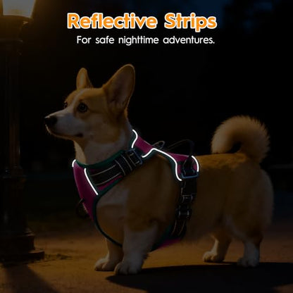 No Pull Dog Harness, No Chock Reflective Adjustable Soft Padded Pet Vest with Easy Control Handle, Easy Wearing with Stylish, Reinforced Knot, 2 Buckles - color: Pink/Turquoise, size: X-Small