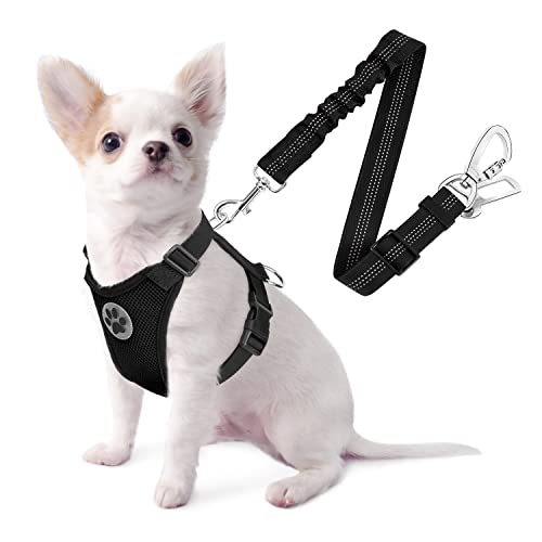 SlowTon Dog Seat Belt Harness for Car, Dog Car Harness Adjustable Mesh Breathable & Dog Seatbelt Safety Tether with Elastic Bungee for Small Medium Large Pets(Black, Double Clip, XXS) - color: A-Black, size: XX-Small