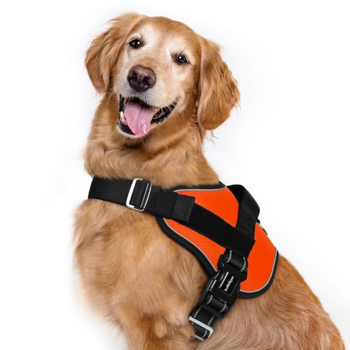 rabbitgoo Dog Harness for Large, Easy On Pet Vest with One Buckle, No Pull Adjustable Service Harness with D-Ring & Handle, Reflective for Safety Walking, Training, Orange, XL - color: Orange, size: X-Large