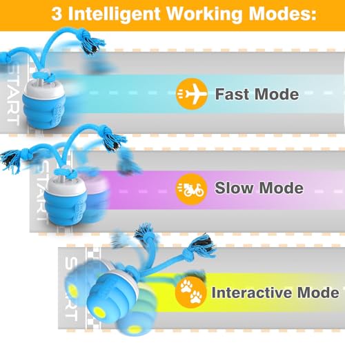 Interactive Dog Toys Ball - Fun Moving Dog Toys to Keep Them Busy | Rechargeable Smart Automatic Dog Ball for Large, Medium, and Small Puppy Dogs for Boredom, Blue