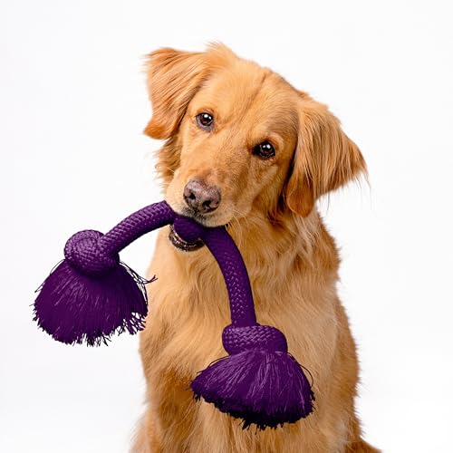 Playology Dog Toys | Dri-Tech Rope Tug of War Dog Toy for Tough Chewers | Bacon Scented Jumbo Tug Rope Toys for Large Dogs - size: Jumbo, style: Bacon