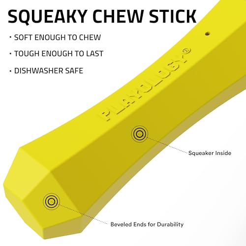 Playology Dog Toys | Squeaky Chew Stick for Dogs | Chicken Scented Medium Fetch Toy | Squeaky Dog Chew Toy - size: Medium, style: Chicken