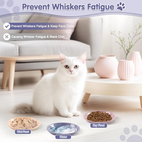 6 Pack Cat Food Bowl, Ceramic Cat Bowls, Anti Whisker Fatigue Cats Bowl Set,5.5 Inches Shallow Wide Kitten Plates for Food and Water (CaiSe-A) - color: CaiSe-A