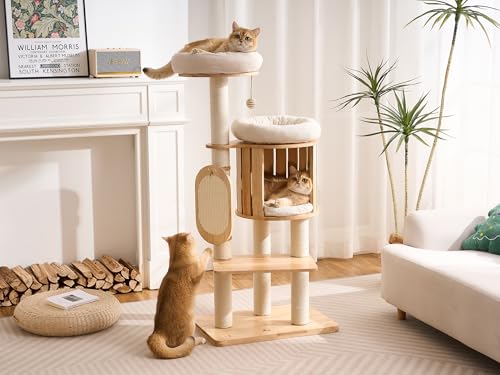 Modern Solid Wood Cat Tree for Indoor Cats Large Adult, 50in Tall Cat Tower with Sisal Scratching Posts, Cat Scratcher Cardboard, Cozy Cat Beds Cave Condo, Multi-Level Cat Furniture - color: Natural