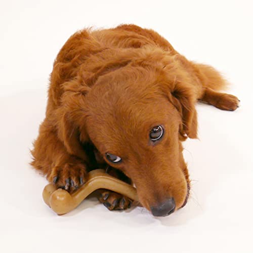 Nylabone Gourmet Style Wishbone Strong Chew Toy for Dogs, Chicken Flavor, Small - Up to 25 lbs, 1 Count - size: Small