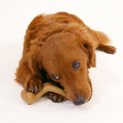 Nylabone Gourmet Style Wishbone Strong Chew Toy for Dogs, Chicken Flavor, Small - Up to 25 lbs, 1 Count - size: Small
