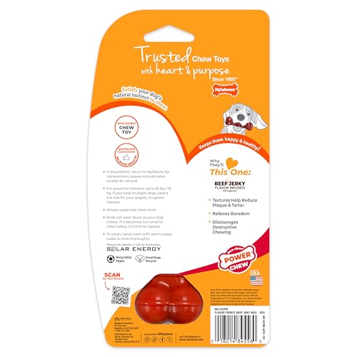 Nylabone Textured Bone Power Chew Toy for Dogs, Durable & Tough Dog Toys for Aggressive Chewers, Beef Jerky Flavor, Medium Dogs - Up to 35 lbs, 1 Count - size: Medium