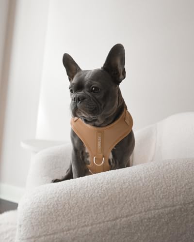 Premium No-Pull Dog Harness Soft Neoprene & Breathable Mesh Vest with Front & Back Clip D-Rings Adjustable Lightweight Walking Harness for Puppies, Small & Medium Dogs (Beige, S) - color: Beige, size: S: Neck=13.8-17.3''/Chest=16.1-21.3''