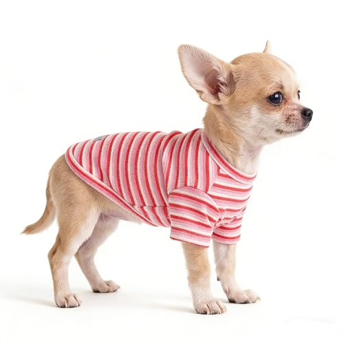 Soft Dog Shirt for Small Medium Dogs, Breathable Dog Clothes for Puppy Girl Boy, Stretchy Cotton Dog Tshirts, Fits Chihuahua, Toy Poodle, Green Stripe-S - color: Pink-Stripe, size: Small