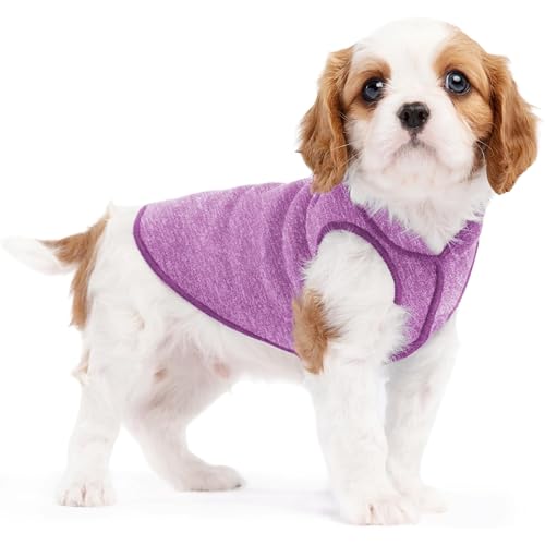 Goldpaw Dog Sun Shirt with UV Protection - Lightweight, Cooling Sun Protection Clothing for Small Dogs - Reduce Heat Absorption - Made in The USA - Machine Washable - Violet - Size 4 - color: Violet, size: 4