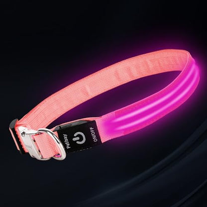 LED Dog Collar with Metal Buckle - USB Rechargeable Glow Collar for Dogs, Waterproof Light Up Dog Collar w/Reflective Strips - Adjustable Night Safety Collars by PetIsay(Pink, Small) - color: Pink(Fiber optic version), size: Small (11" - 15½ ")
