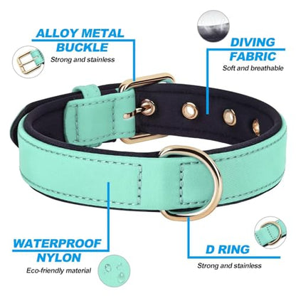 Didog Soft Padded Dog Collars for Medium Dogs, Lightweight and Breathable Dog Collar with Metal Buckle, Green, L - color: Green, size: L: Fit 13-17" Neck