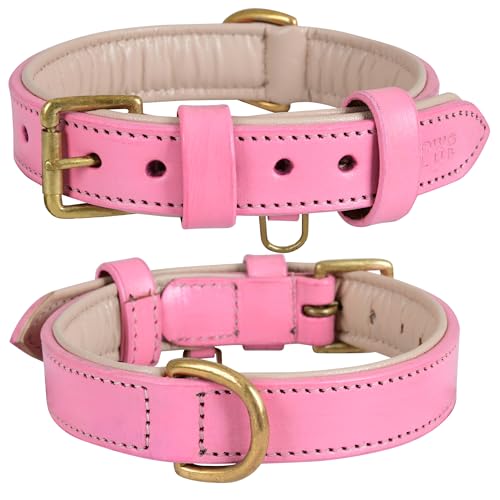 Leather Dog Collar for Small Dogs, Light Pink, .75 Inch Wide, Genuine Leather, Heavy Duty with Soft Inner Padding, Comfortable and Durable | (Blush Pink, Small (Fit Neck Size 11.5"-14.5")) - color: Blush Pink, size: S (Fit Neck Size 11.5"-14.5")