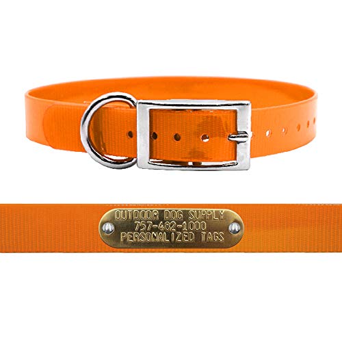 Outdoor Dog Supply 1" Heavy Duty Waterproof D-Ring Dog Collar for Medium & Large Dogs with Custom 3/4" Brass Nameplate (Orange, 18") - color: Orange, size: 18" Long