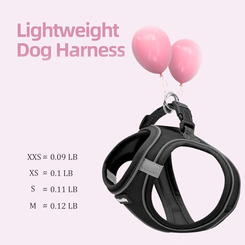 Sparkly Dog Harness Small Sized and Leash Set for Small Dogs Cats,Black XXS Puppy Harness, Step in Soft Dog Reflective Vest, Breathable Mesh Pet Harness. (Black, XXS) - color: Black, size: XXS