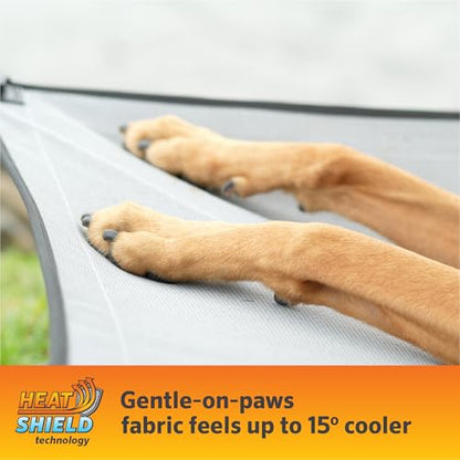 Coolaroo On-The-Go Elevated Dog Bed Kit – Portable & Cooling Travel Cot with HeatShield Fabric for Small Dogs, Lightweight & Compact, Includes Matching Carry Bag & Everglade Green Bonus Cover, Small - color: Everglade Green, style: Small