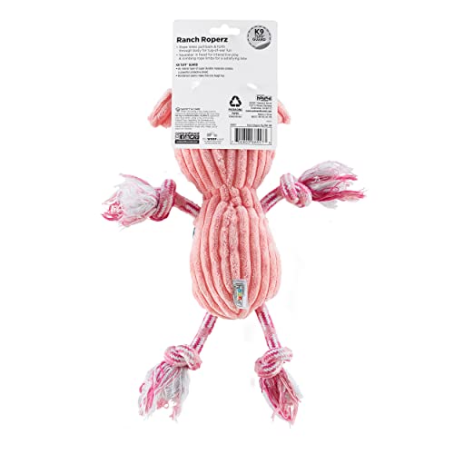 Outward Hound Ranch Roperz Pig Plush Squeaky Dog Toy - color: Ranch Roperz Pig