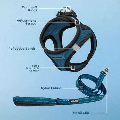 Best Pet Supplies Voyager Step-in Air All Weather Mesh Harness and Reflective Dog 5ft Leash Combo with Neoprene Handle, for Small, Medium and Large Breed Puppies - Set (Blue/Black Trim), Large - color: Harness Leash Bundle (Blue/Black Trim), size: L (Ches