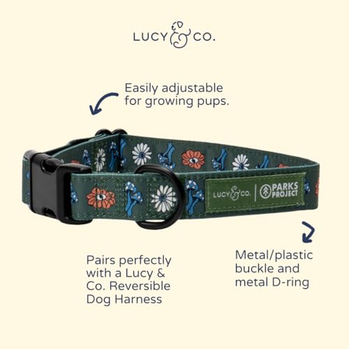 Lucy & Co. x Parks Project Power to the Parks Dog Collar, Adjustable Durable Dog Collar with Cute Print, Small - color: Power to the Parks, size: Small