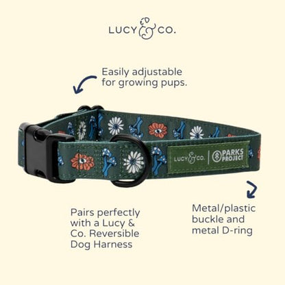 Lucy & Co. x Parks Project Power to the Parks Dog Collar, Adjustable Durable Dog Collar with Cute Print, Small - color: Power to the Parks, size: Small