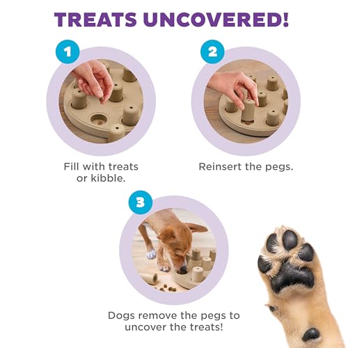 Outward Hound by Nina Ottosson Dog Smart Treat Puzzle Enrichment Toy, Level 1 Beginner, Tan, Composite - color: Dog Smart Composite (Tan)