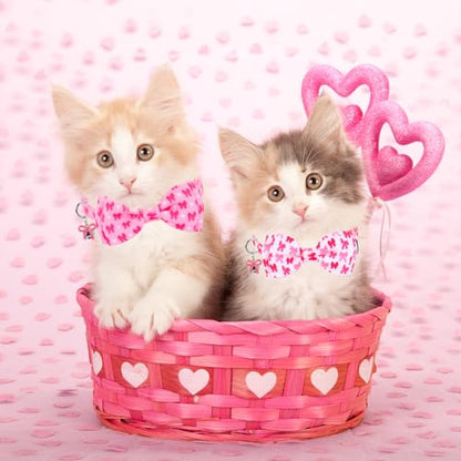 JarThenaAMCS 2Pcs Pink Bow Cat Collar Cute Coquette Bowtie Collar with Breakaway Bell Bowknot Adjustable Kitten Collars for Girl Boy Cat Small Pet - style: bow