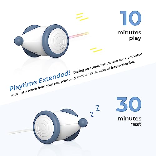 Cheerble Interactive Cat Toys for Indoor Cats, Automatic Cat Toy with LED Lights, Wicked Mouse Toys, Kitten Toys, Pet Toys, Smart Electric Cat Toy, USB Rechargeable, Auto On/Off… (Blue) - color: Blue
