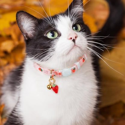 2 Pack Cotton Breakaway Cat Collar Pink Strawberries and White Heart Shaped Pendant Cute Kitten Cat Collar with Bell - color: Pink&White