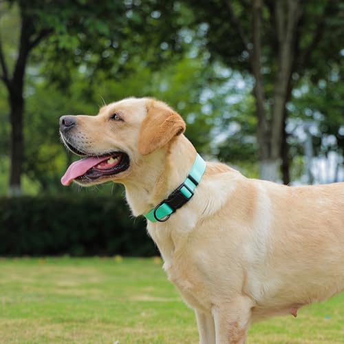 Waterproof Dog Collar, Easy to Clean Rubber Dog Collars with Quick Release Buckle Fits Small Medium or Large Dogs (Mint Green, M < 11.8-18.5 inch) - color: Mint Green, size: M (11.8-18.5 inch)